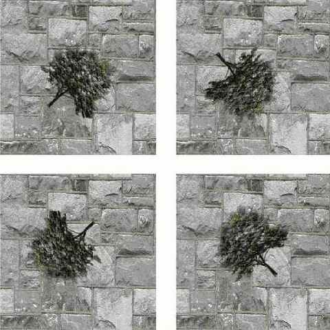 �������