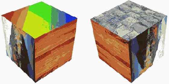 ������������ ����������