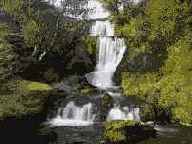 ����������� ��������� � ������� ��������� �����������