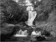 ����������� ��������� � ������� ��������� �����������