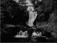 ����������� ��������� � ������� ��������� �����������