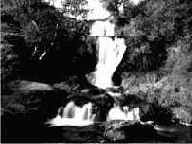 ����������� ��������� � ������� ��������� �����������