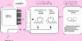 �������� � CALS-����������