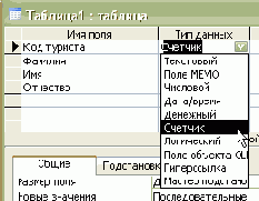 Элементы работы с СУБД Microsoft Access