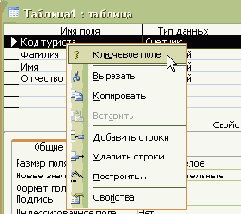 Элементы работы с СУБД Microsoft Access