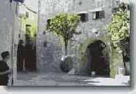 ��� �������