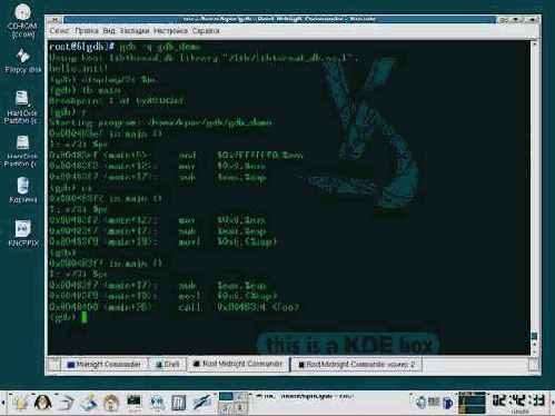 �����������