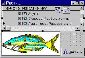 о том, что лучше один