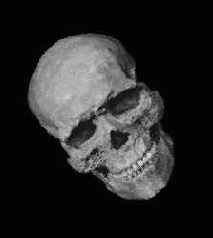 Поворот изображения