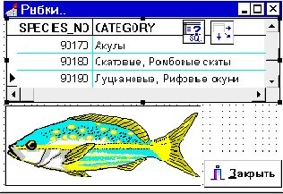 ���������� ���������� ��