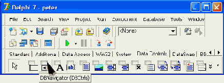  ������ ���������� DBNavigator ��������� �� ������� Data Controls