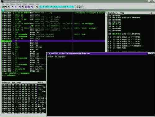 anti-debug.exe ��� ���������