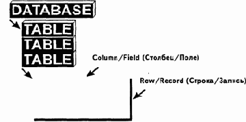 ���� ������ � ������� ���������� ������ ������