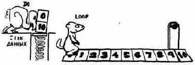 ЦИКЛЫ СО СЧЕТЧИКОМ