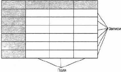 Структура таблицы базы данных