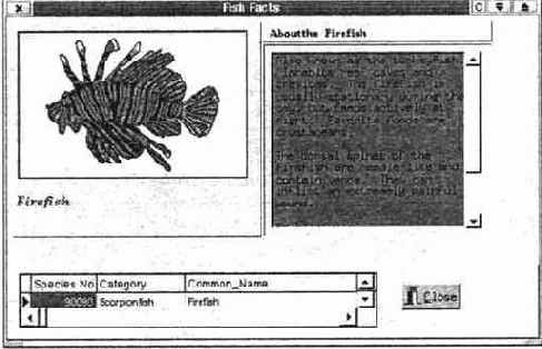 Приложение в работе