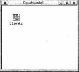 ����������� Data Module ���� New Items