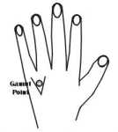 �������� � ����� 