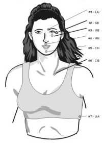 ������������������ �����