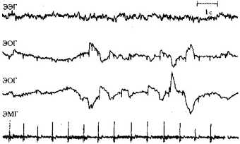 ������, ���������� � �������