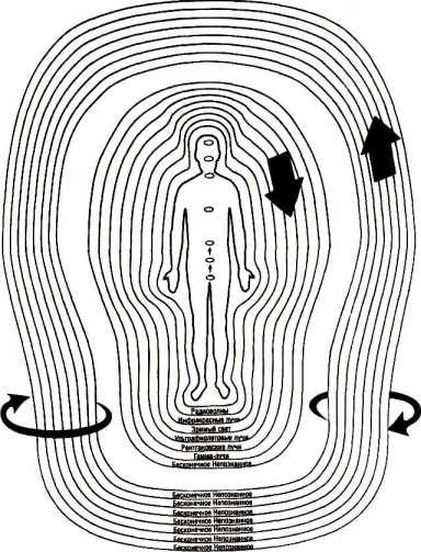 ���� �������