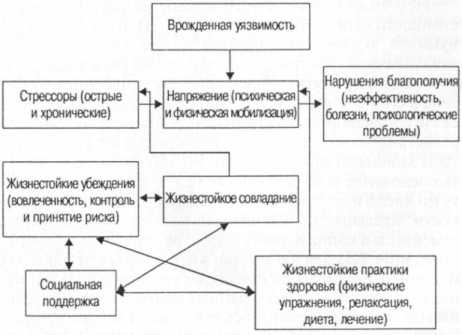 ���� ��������������