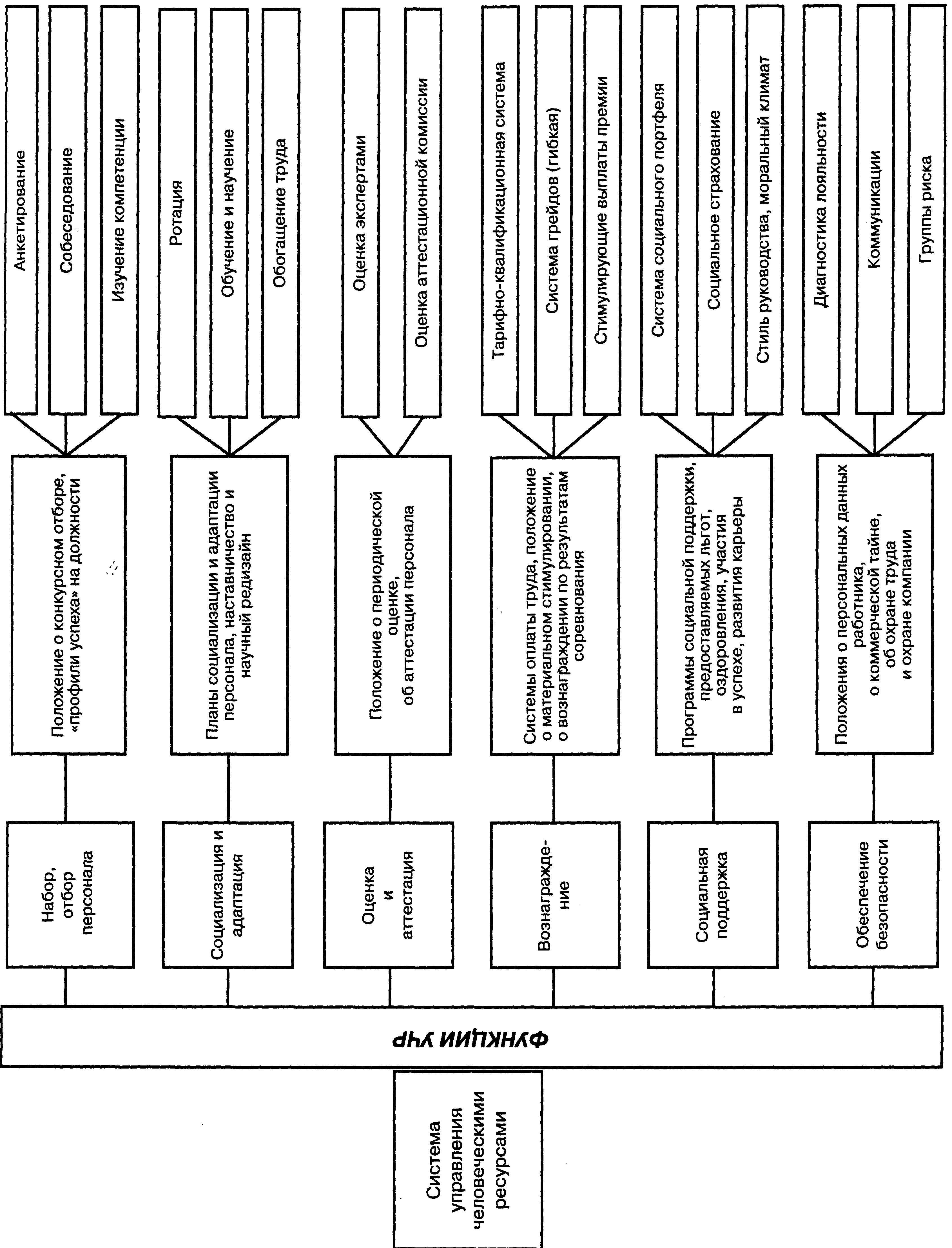 ����� ������������ ���������� ���������