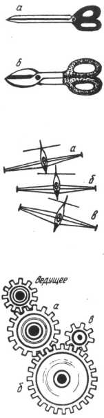 ����� ���, ����� � ���� �������� ����