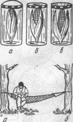 ����� ���, ����� � ���� �������� ����