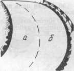 ����� ���, ����� � ���� �������� ����