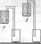 ����� ���, ����� � ���� �������� ����