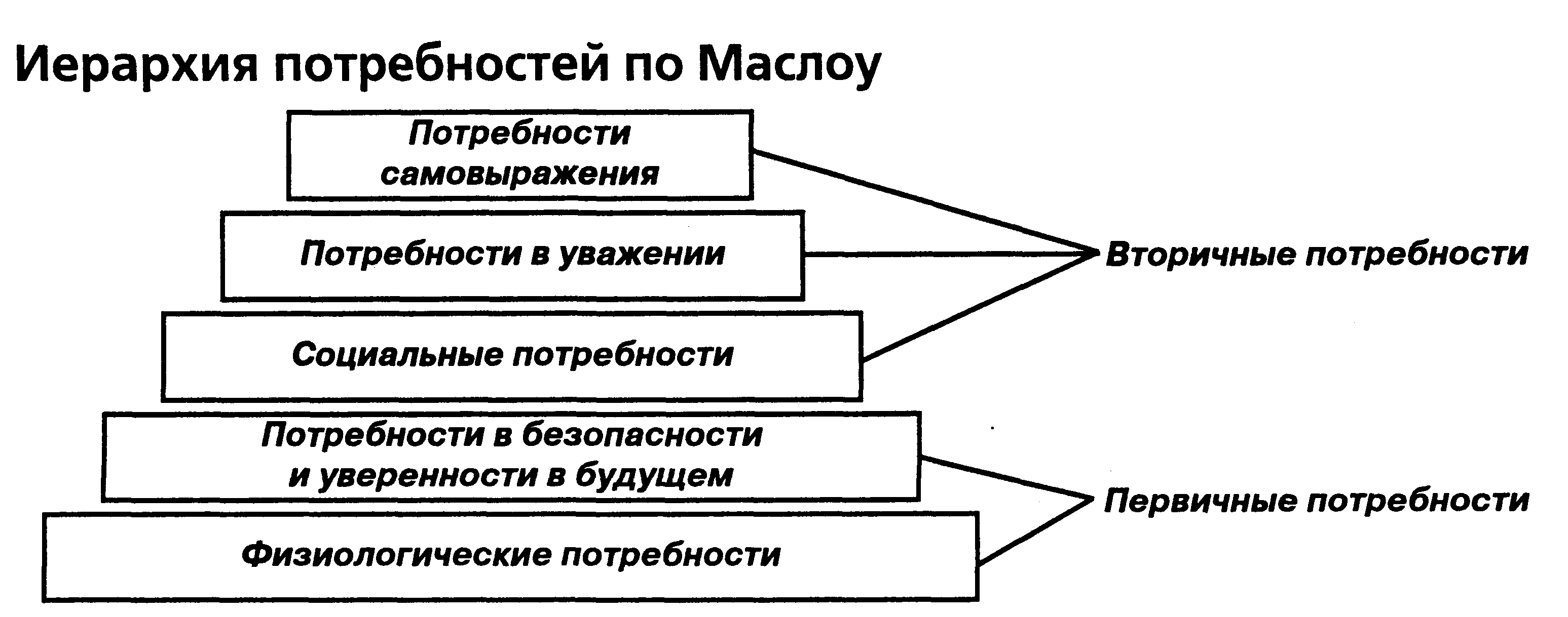 ������������ ������������� ������� ���������� ����������