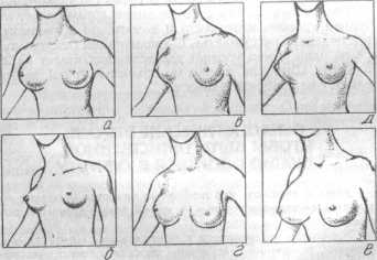 ��� ����, �������?