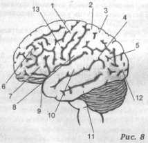 ��������������� ������