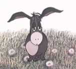 ���� �����