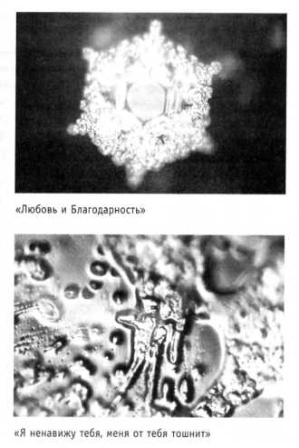 ������ ������������� ��������