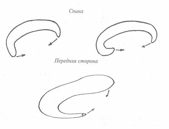 ������������ �������� �������