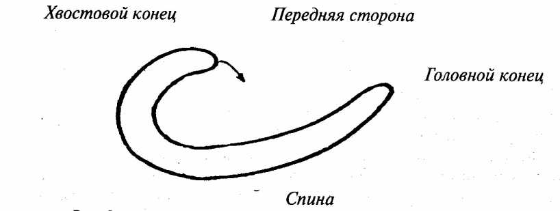 ������������� ���������� �������������� ��������