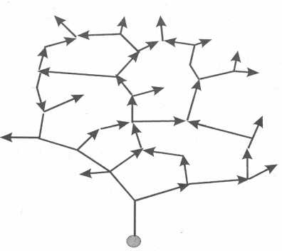 ����� ��������� �������