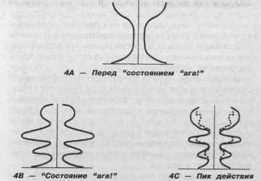 ��� �������� � ��� �����������