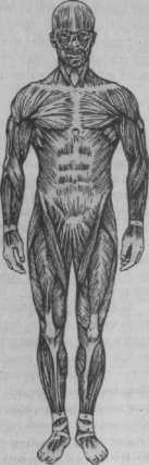 ��������, ������ � ��