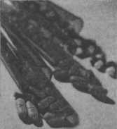 ������������� � ��������� ��������