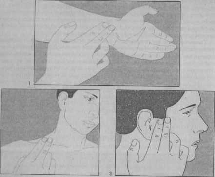 ��������� ����� ���� �������