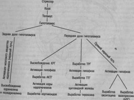 ��������������� �������