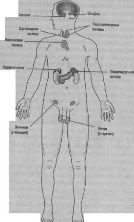 ���������� ������� �������