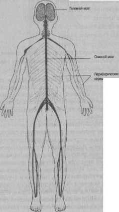 ���������� ������� �������