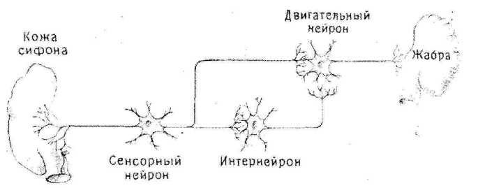 ���������� � ������� 