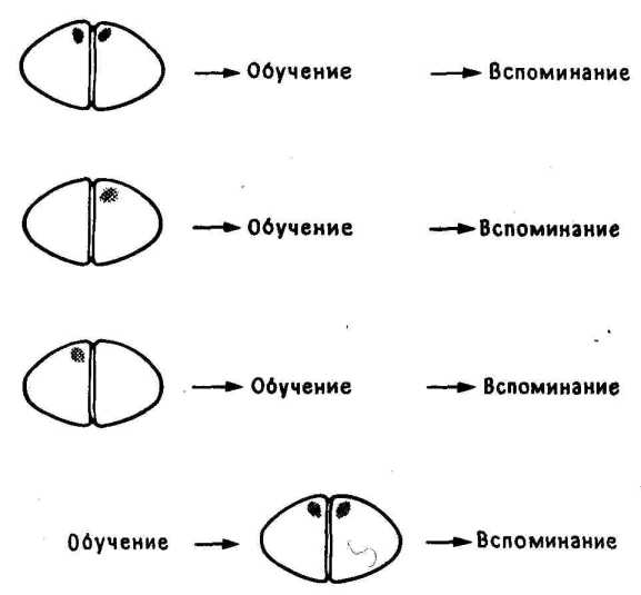 �������, ����, �������