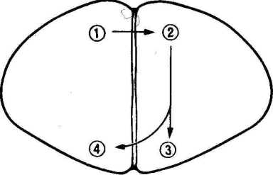 �������, ����, �������