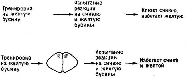 ������� �� �����?